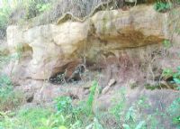 狮山古海蚀遗址