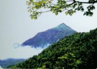 怀集三岳自然保护区