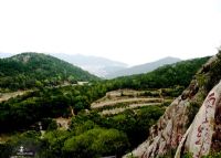 鹰石山摩崖石刻区