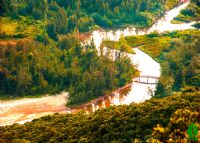 上川岛猕猴省级自然保护区