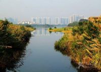 深圳华侨城国家湿地公园