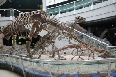 深圳古生物博物馆