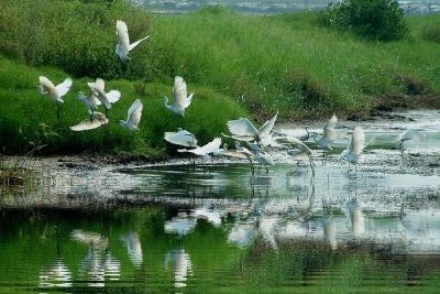 银湖湾渔家风情庄园