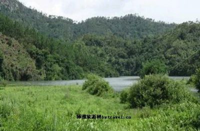 墩子自然保护区