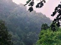 巨野金山旅游区