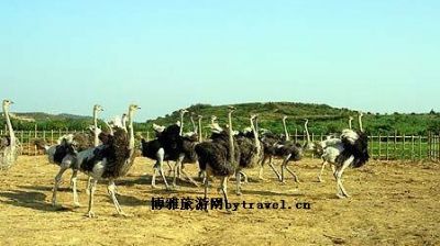 斑龙生态科技园