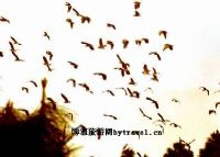 潼湖湿地自然保护区