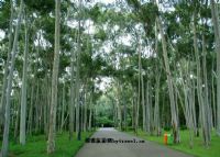 深圳笔架山公园