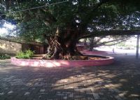 塘尾明清古村落