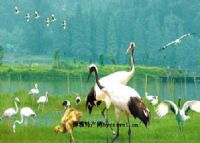 肇庆星湖风景名胜区