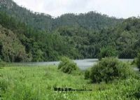 墩子自然保护区