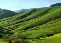 潮州红山森林公园