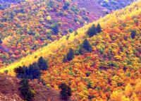 莲都十里画廊风景区