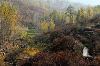 后观原始森林公园