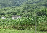 金桔自然保护区