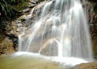 黑石顶自然保护区