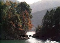 小坑国家森林公园