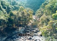 七星坑原始森林