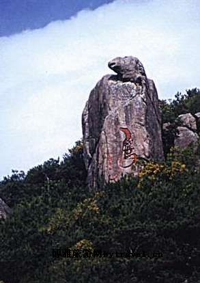 黄花山国家森林公园