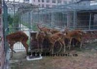 红不让农业大观