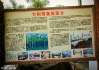 观音山古树博物馆