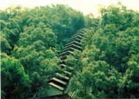 笔架山潮州窑遗址