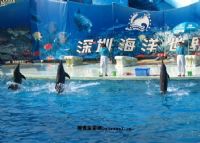 深圳海洋世界