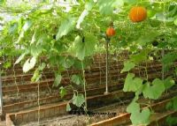 汕头农业科学院