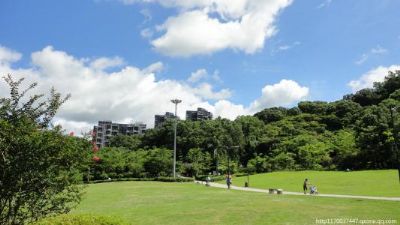 深圳宝安公园