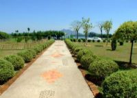 深圳荔枝世界（西丽果场）