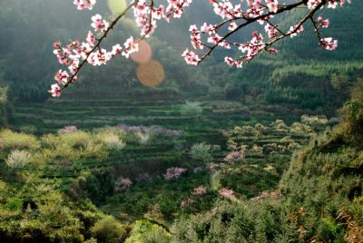 九峰镇(乐昌九峰山)