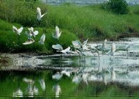 银湖湾渔家风情庄园