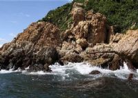 江门中华白海豚自然保护区