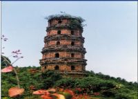 曲江仙人塔