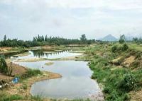 礼乐围沙丘遗址