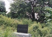 龙一村贝丘遗址