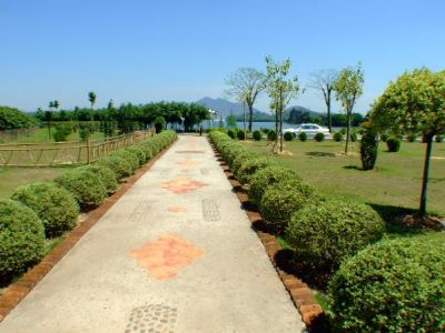 深圳荔枝世界（西丽果场）