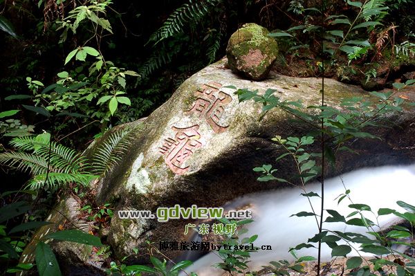 黑石顶自然保护区