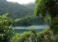 鼎湖山蝴蝶谷原始雨林