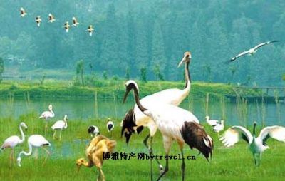 肇庆星湖风景名胜区