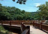 大岭山森林公园