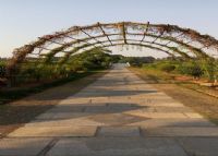 海上田园桃林苑