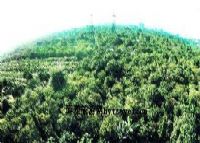 称架省级自然保护区