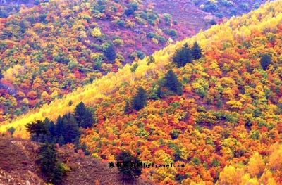 莲都十里画廊风景区