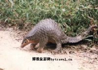 烂柯山自然保护区