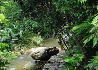 黄金沟旅游风景区