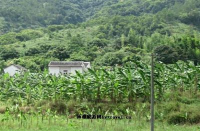 金桔自然保护区