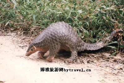 烂柯山自然保护区